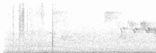 Cerulean Warbler - ML619684000