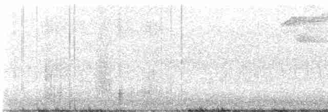 Чернокрылая пиранга - ML619684289