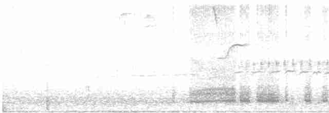 Sperlingsvogel, unbestimmt - ML619684703