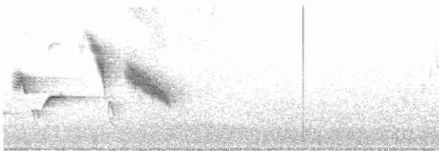 Tilki Renkli Serçe [schistacea grubu] - ML619684822