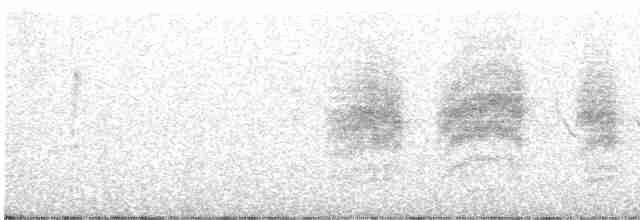 Hutton's Vireo - ML619686110