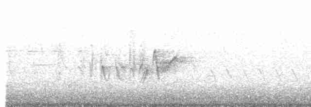 Віреон короткокрилий (підвид pusillus) - ML619686931