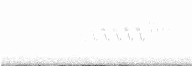 Cerulean Warbler - ML619687115