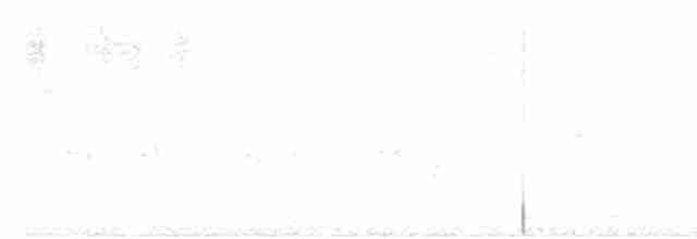 holoubek vlnkovaný - ML619687920