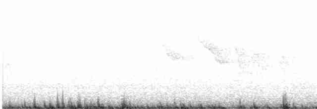 Трясогузковый певун - ML619687994