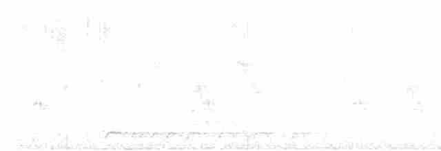 savannesølvnebb - ML619688157
