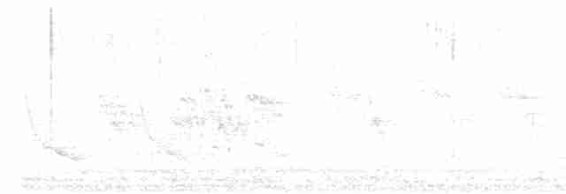 holoubek vlnkovaný - ML619688434