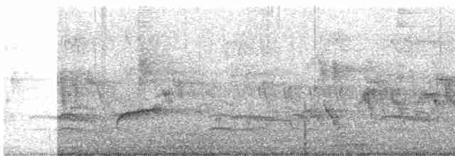 Дрізд-короткодзьоб Cвенсона - ML619688759