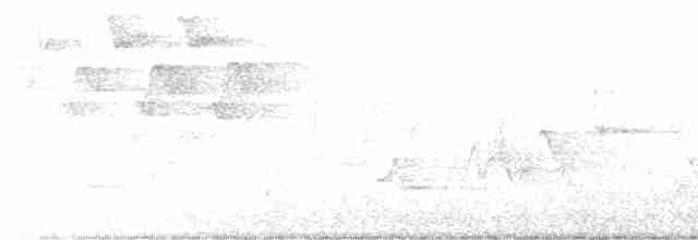 lesňáček modropláštíkový - ML619689005