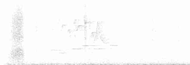 Дрізд-короткодзьоб Cвенсона - ML619689276