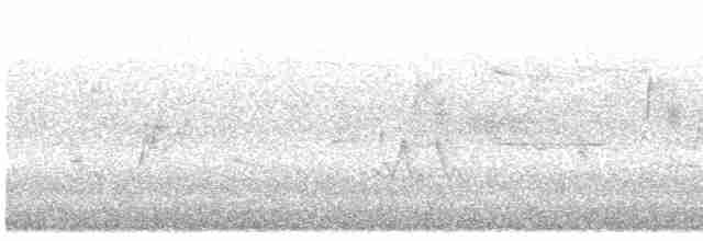 Common Yellowthroat - ML619689639
