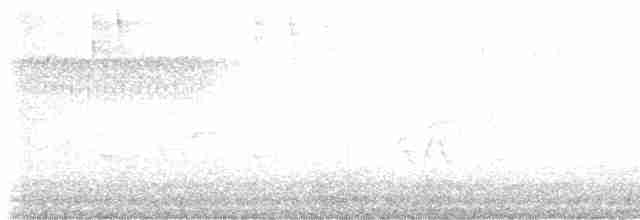Paruline vermivore - ML619690492