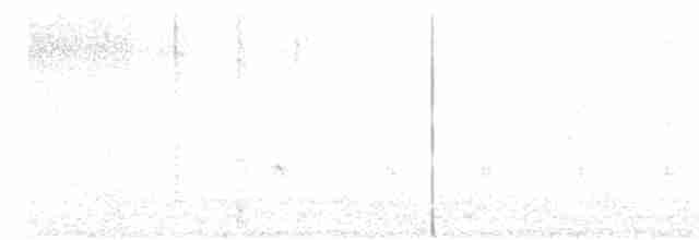 Сріблодзьоб чорногузий - ML619690510