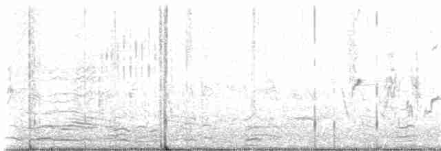 ツバメ（erythrogaster） - ML619690912