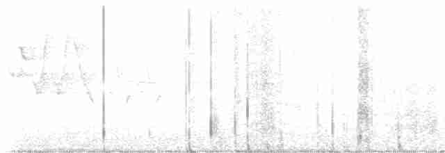 Лесной мухолов - ML619691284