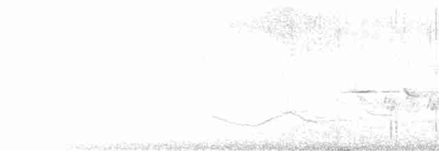 Горихвістка звичайна - ML619691307