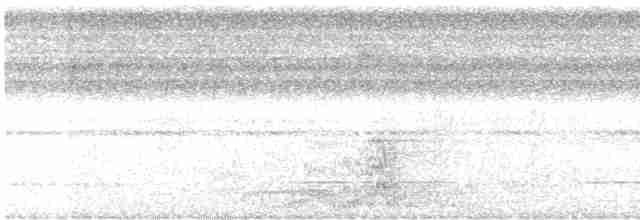 Бледный амазон (farinosa) - ML619691394