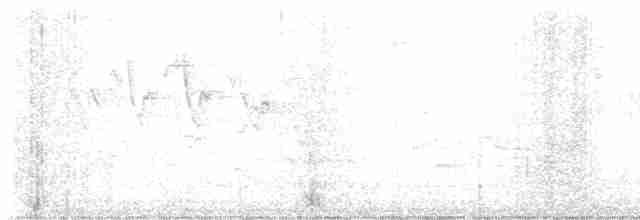 Common Yellowthroat - ML619692224