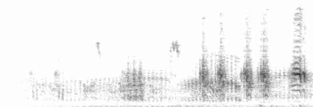 Great Reed Warbler - ML619692437