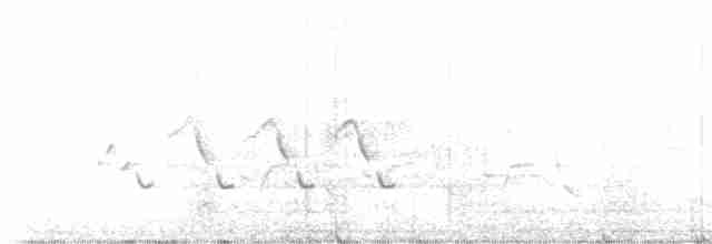 גיבתונית רוננת - ML619692911