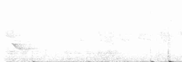 Бурый соловьиный дрозд - ML619693084