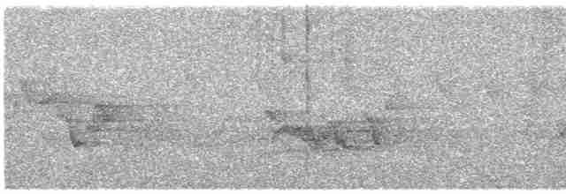 Cerulean Warbler - ML619693322