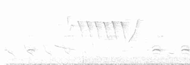 Weißbrustkleiber - ML619693376