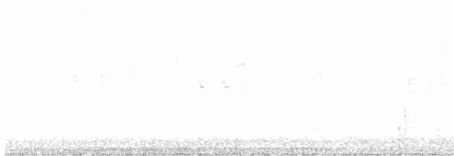 Пестрогрудая овсянка [группа schistacea] - ML619693928