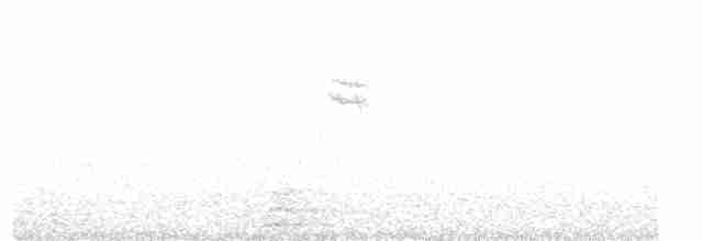 Spotted Flycatcher - ML619694114