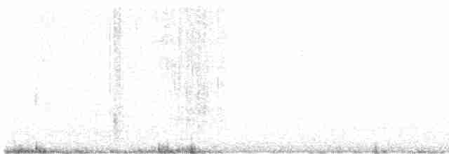 Длиннохвостый крапивник - ML619695134
