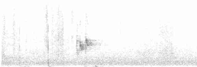 Желтоплечая пиранга - ML619695205