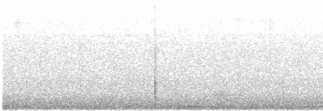 Tinamou à tête rousse - ML619695349