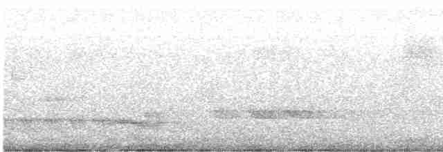 Kestane Sırtlı Karıncakuşu - ML619695575