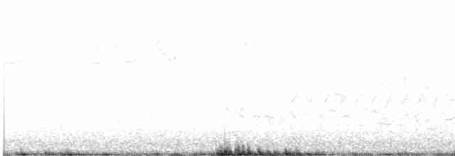 Weißbrustkleiber - ML619695626