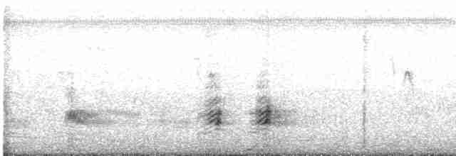 Ibis à face blanche - ML619695949