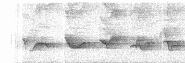 Чернокрылая пиранга - ML619696966