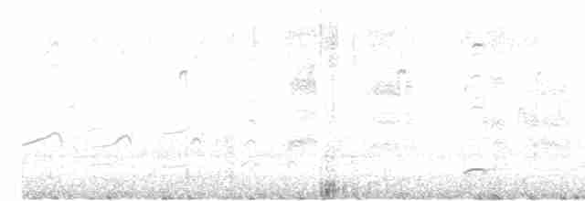 Halsbandfrankolin [henrici-Gruppe] - ML619697103