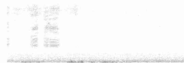 halsbåndfrankolin (henrici gr.) - ML619697138