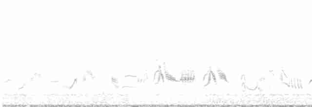 Кактусовый пересмешник - ML619697258