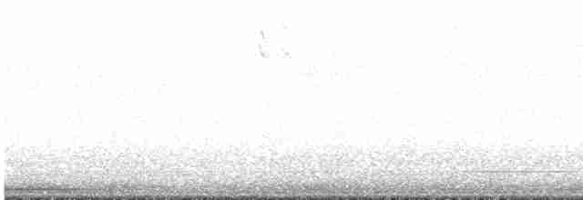 Sperlingsvogel, unbestimmt - ML619697820