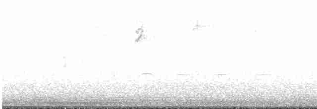 Sperlingsvogel, unbestimmt - ML619697822