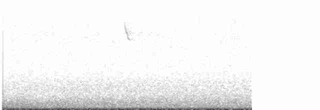 Sperlingsvogel, unbestimmt - ML619697823
