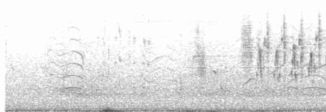 Bataklık Çıtkuşu - ML619698247