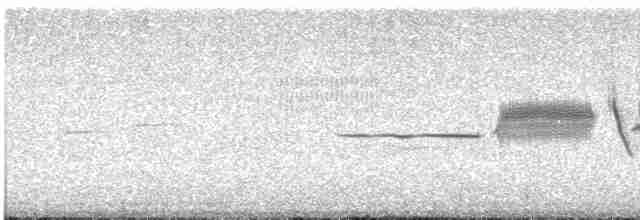 Bruant à couronne blanche (nuttalli) - ML619698422