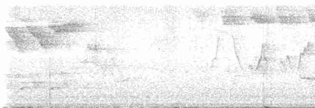 Черногорлая хвойница - ML619698762