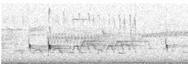 Дрізд-короткодзьоб Cвенсона - ML619699157