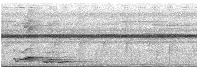 Тимелія-криводзьоб велика - ML619699753