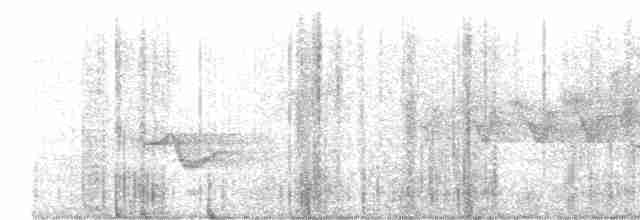 Cerulean Warbler - ML619700015
