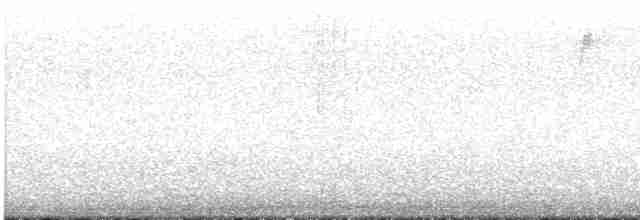 Дроздовый певун - ML619700730