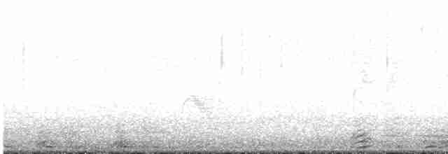 Дрізд-короткодзьоб малий - ML619700791